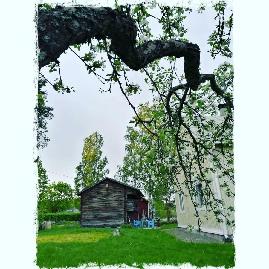 Willa Mustijoki Laukkoski Bagian luar foto