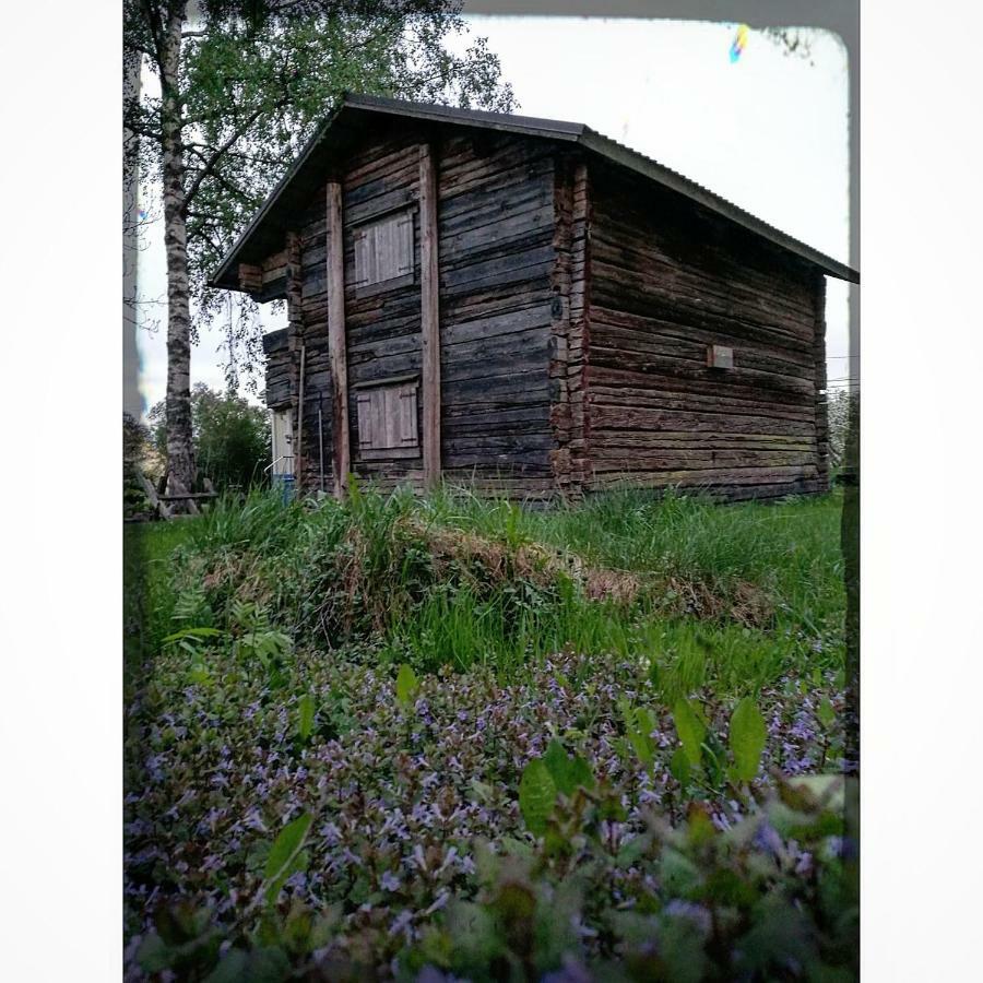 Willa Mustijoki Laukkoski Bagian luar foto