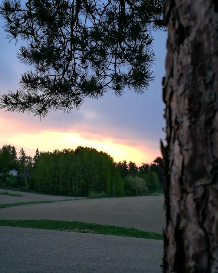 Willa Mustijoki Laukkoski Bagian luar foto
