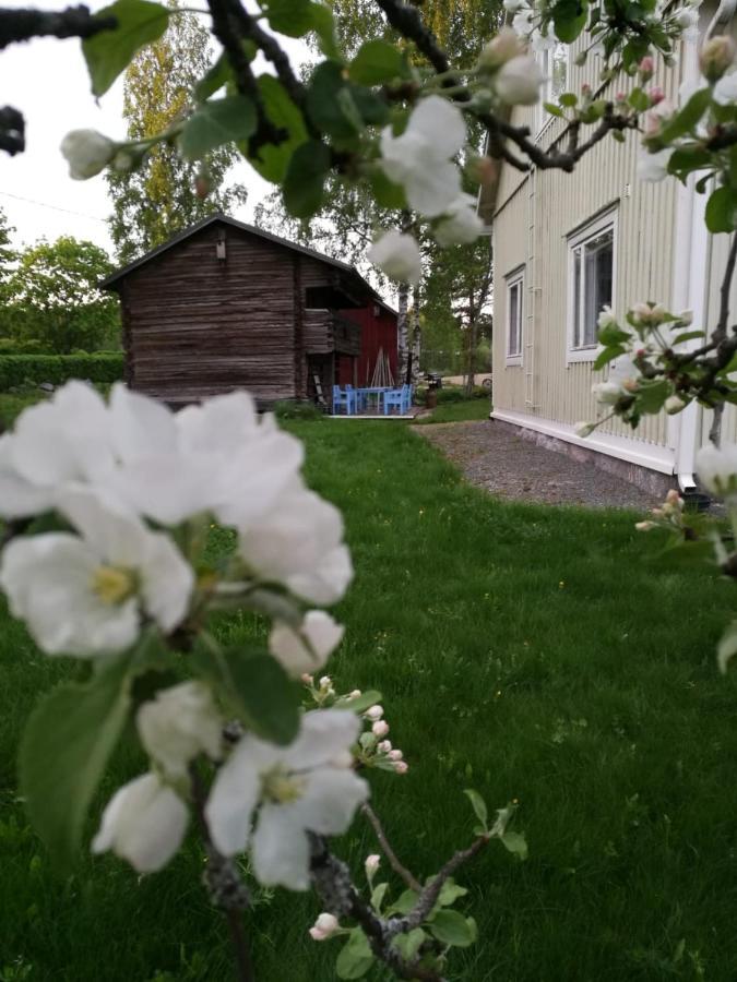 Willa Mustijoki Laukkoski Bagian luar foto
